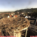 08_10-nest.jpg