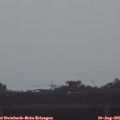08_40-mast.jpg
