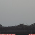 08_50-mast.jpg