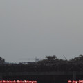 09_00-mast.jpg