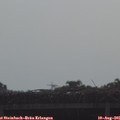 09_05-mast.jpg