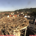 09_05-nest.jpg