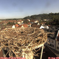 09_10-nest.jpg