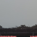 09_15-mast.jpg