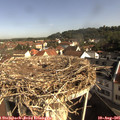 09_15-nest.jpg
