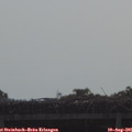 09_20-mast.jpg