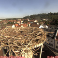 09_25-nest.jpg