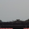 09_30-mast.jpg