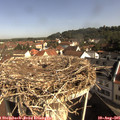 09_30-nest.jpg