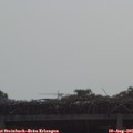 09_35-mast.jpg