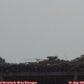 09_40-mast.jpg