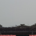 09_45-mast.jpg