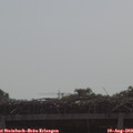 10_10-mast.jpg