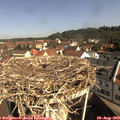 10_10-nest.jpg