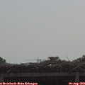 10_15-mast.jpg