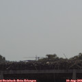 10_20-mast.jpg
