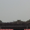 10_25-mast.jpg