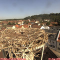 10_25-nest.jpg