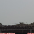 10_35-mast.jpg