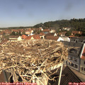 10_35-nest.jpg