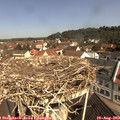 10_40-nest.jpg