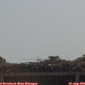 10_45-mast.jpg