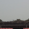 10_50-mast.jpg