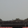 10_55-mast.jpg
