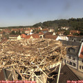11_00-nest.jpg
