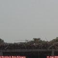 11_05-mast.jpg