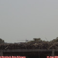 11_15-mast.jpg