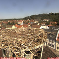 11_20-nest.jpg