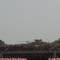 11_25-mast.jpg