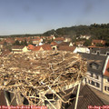 11_25-nest.jpg