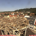 11_30-nest.jpg