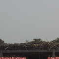 11_35-mast.jpg