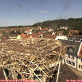11_35-nest.jpg
