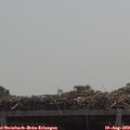 11_45-mast.jpg