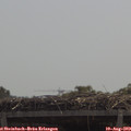 11_50-mast.jpg