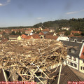 11_50-nest.jpg