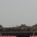 11_55-mast.jpg