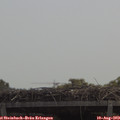 12_05-mast.jpg