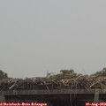 12_10-mast.jpg