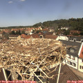 12_10-nest.jpg