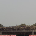 12_15-mast.jpg