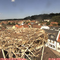 12_15-nest.jpg