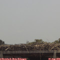 12_20-mast.jpg