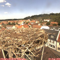 12_20-nest.jpg