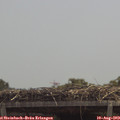 12_25-mast.jpg