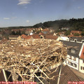 12_25-nest.jpg